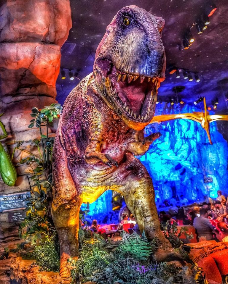 Review Appetizers at TRex Café Disney Springs