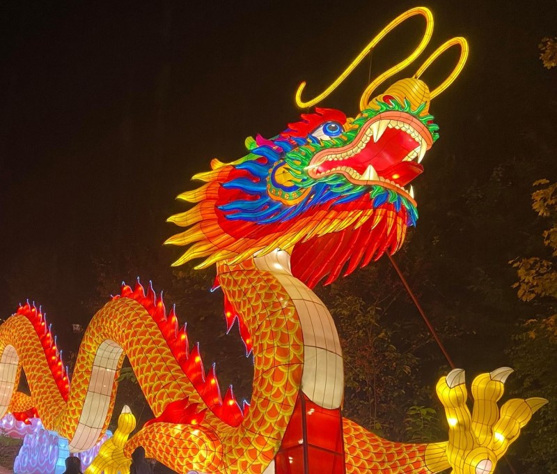 asianlanternfestivalpittsburghzoo3dragon Pirates & Princesses