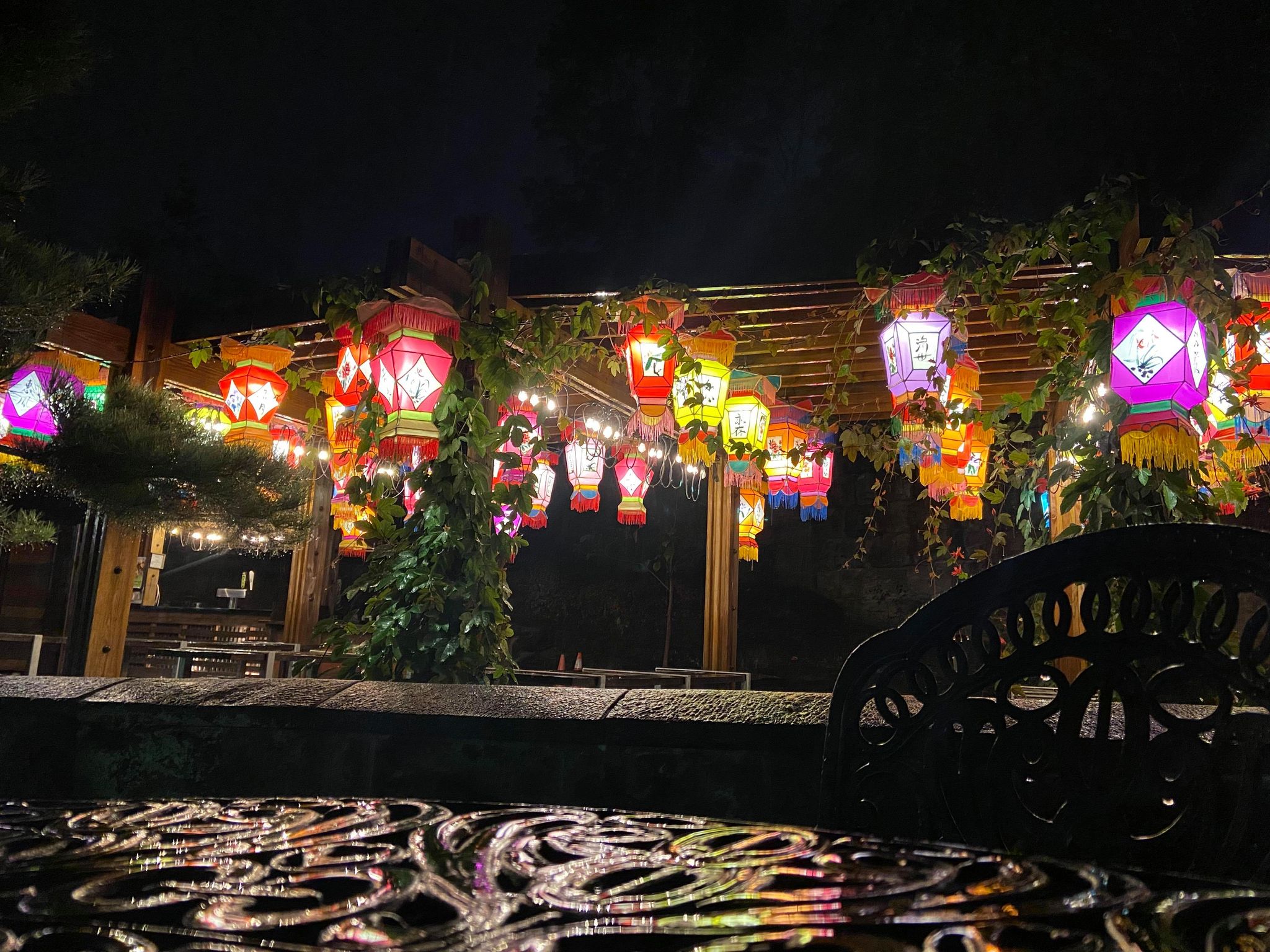 asianlanternfestivalpittsburghzoo7 Pirates & Princesses