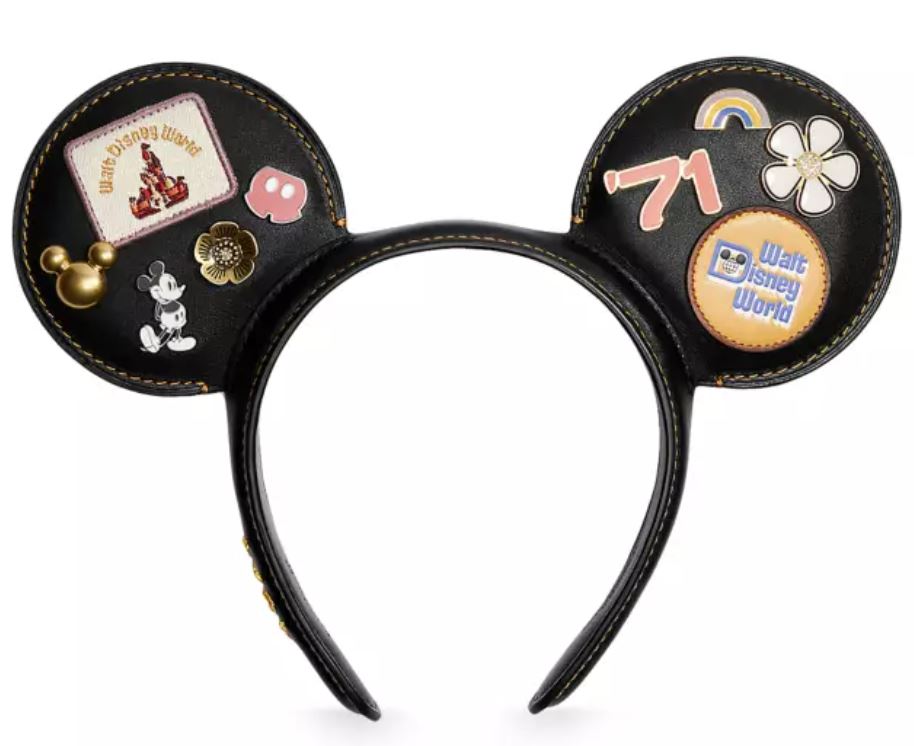 coachmickeyears Pirates & Princesses