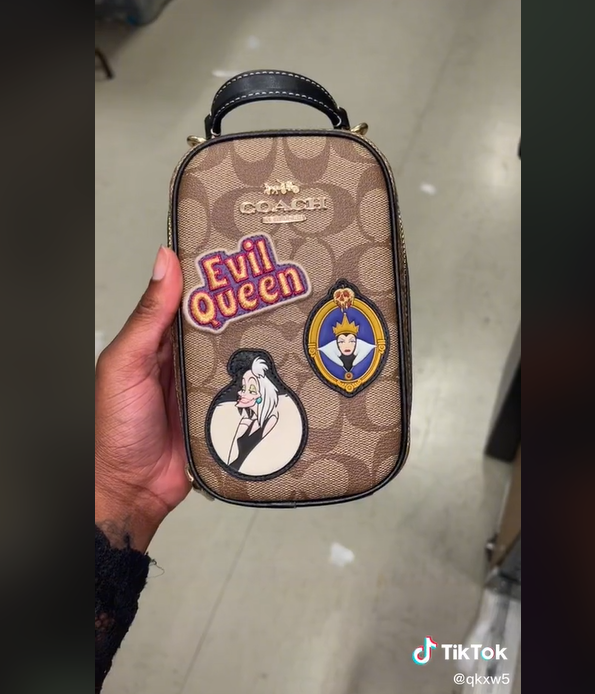 coachdisneyvillains2 Pirates & Princesses