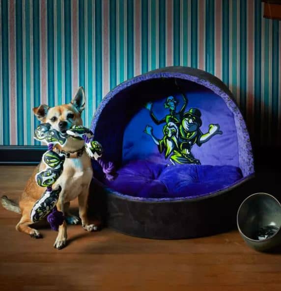 hauntedmansionpetbed Pirates & Princesses