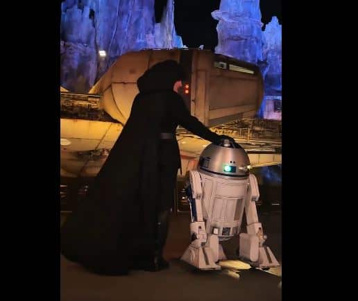 Disney Finally Puts Luke Skywalker Into Galaxy's Edge, For a Limited Event. Seriously! Why Do You Hate Luke?